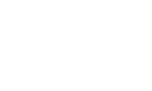 Custom Shock Bushings
