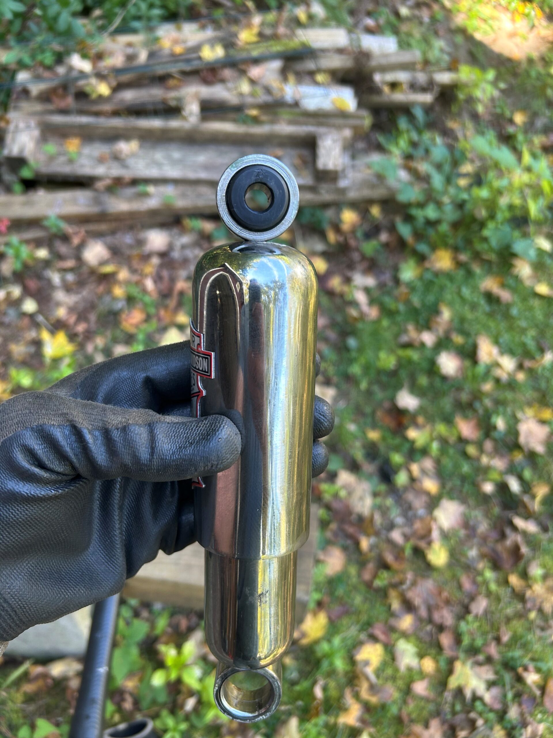 RonB_1992 FXSTS_pic3